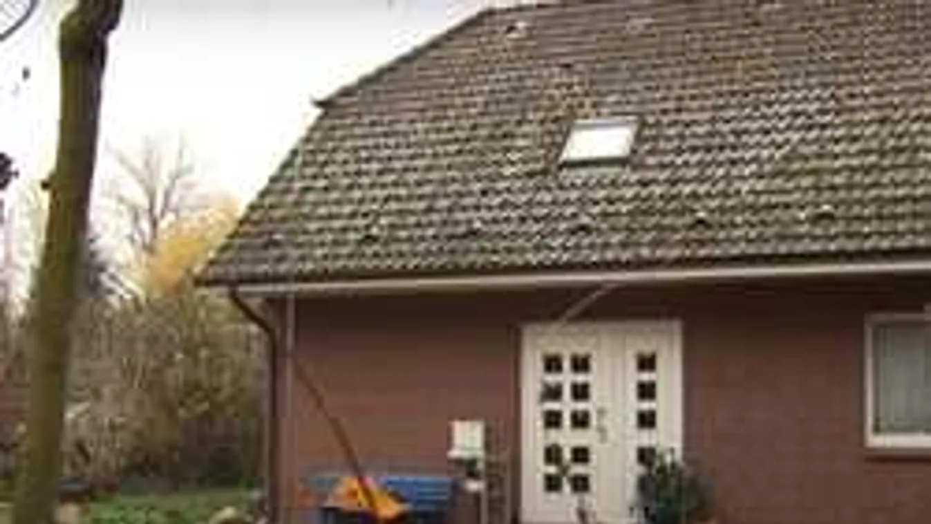 Alvás közben vágta el a 85 éves bácsi torkát a kertészkedő migráns