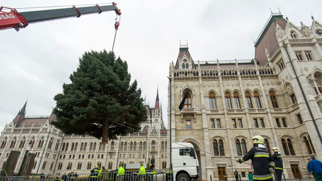 Megjöttek az első fotók: felállították az ország karácsonyfáját