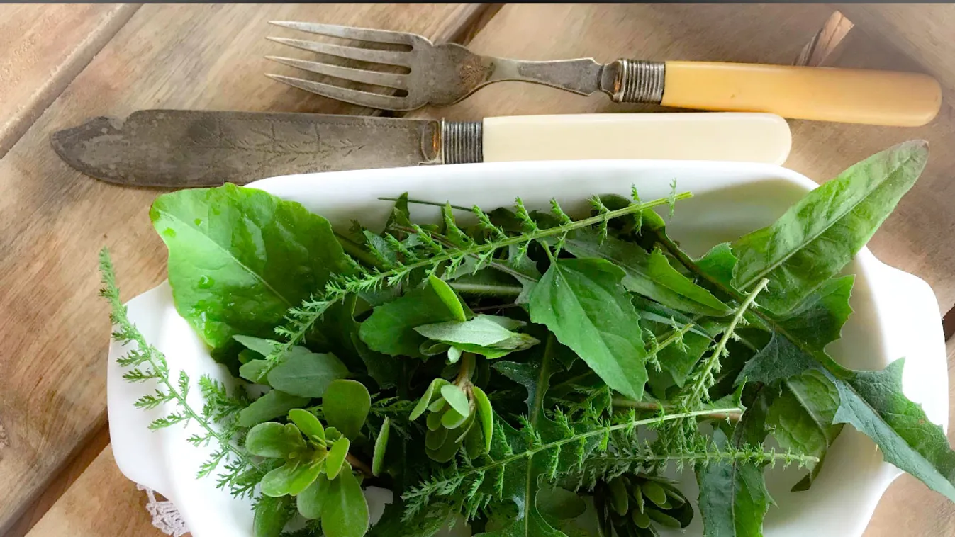 Ellepték a gyomok a kertedet? Ne bosszankodj, ezt figyeld!