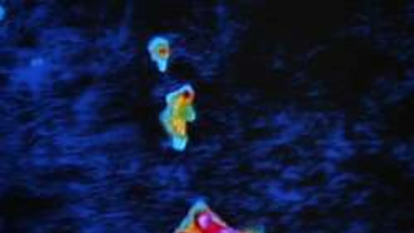 Hátborzongató, amit a rendőrök a helikopter hőkameráján láttak