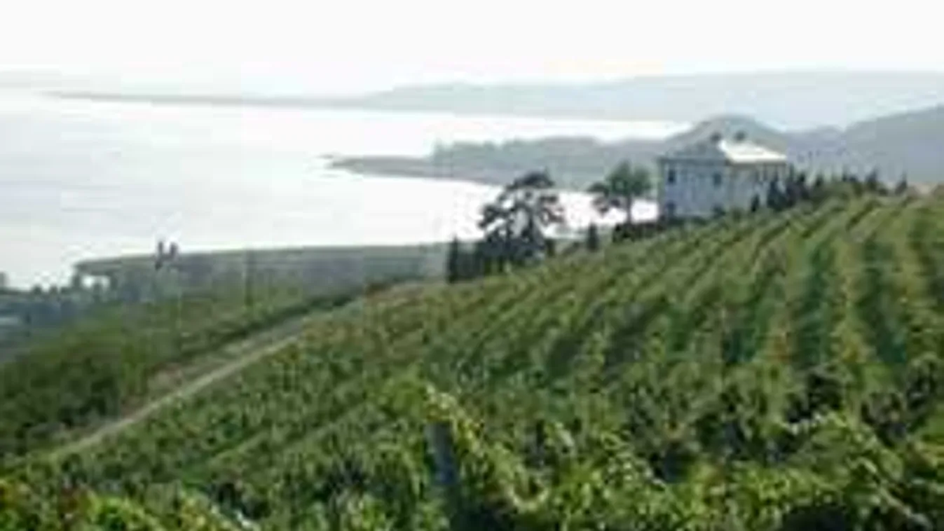 Döbbenetes fejlemény a badacsonyi borászgyilkosságban