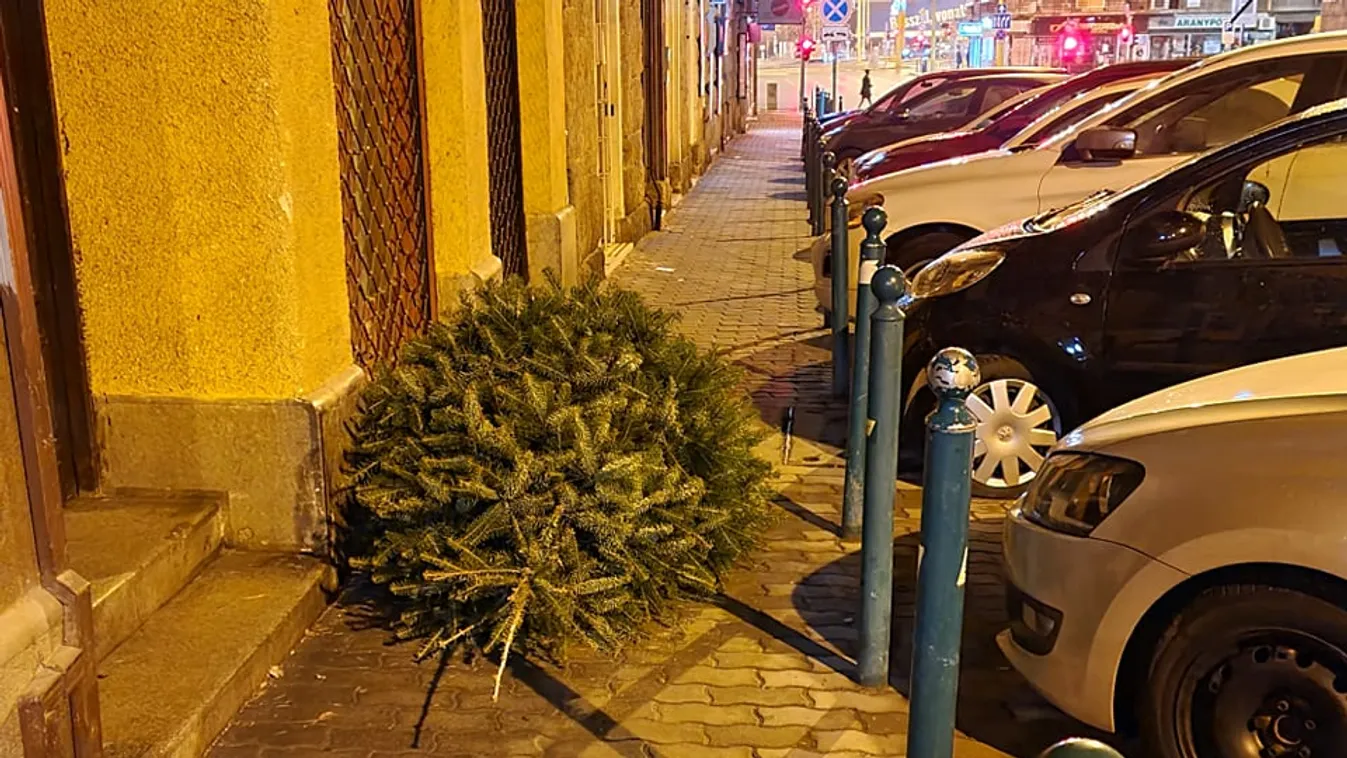 Felháborodtak a fővárosiak: ellepték az utcákat a kidobott karácsonyfák