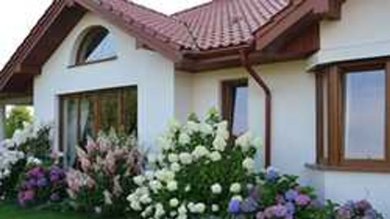 Ezért tegyél harisnyanadrágot a cserepes növények földjébe