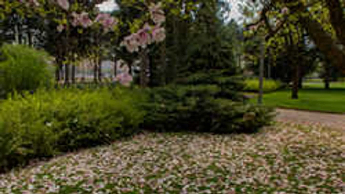 Cudar idővel indul a nap, erős szél, hirtelen esőkkel