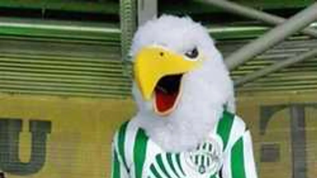 Csirke és vécédeszka, ezzel szívatják a drukkereket