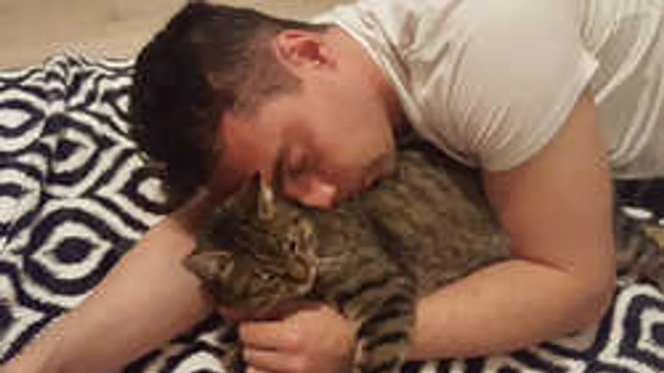 Zuhan a Jobbik támogatottsága, egyharmados csökkenés