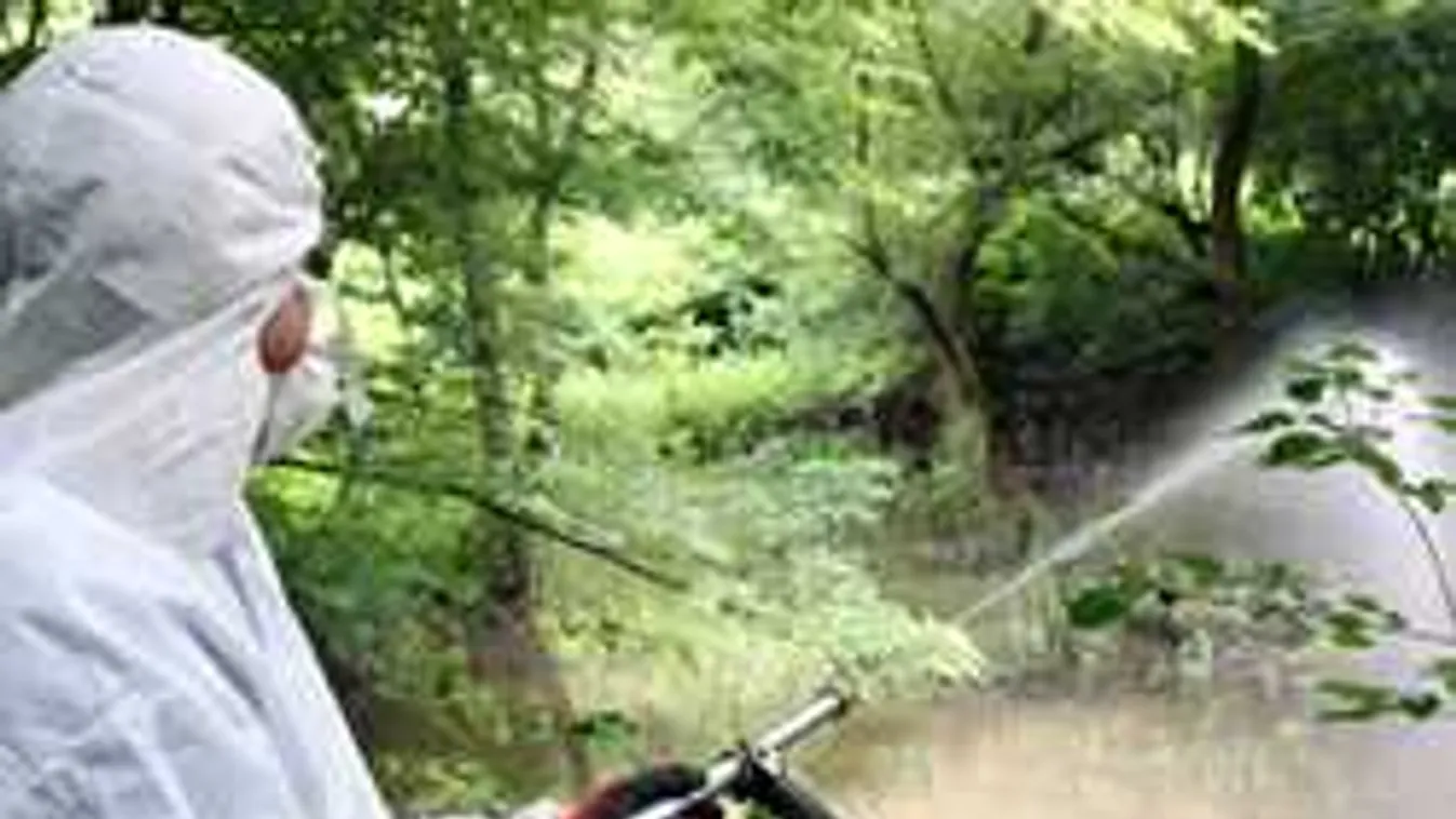 Minden eddiginél nagyobb szúnyogirtásba kezdenek