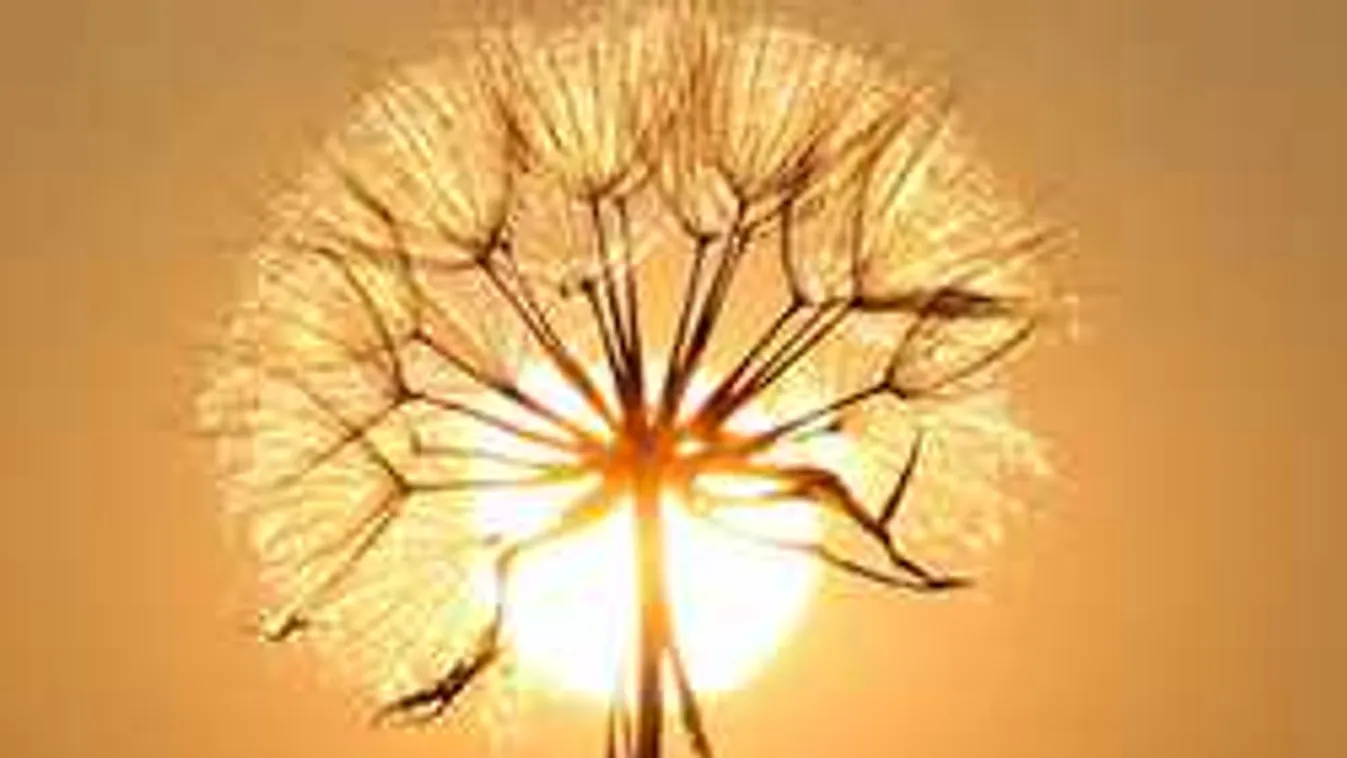 Rendkívüli meleg érkezik, szélvihart hoz magával