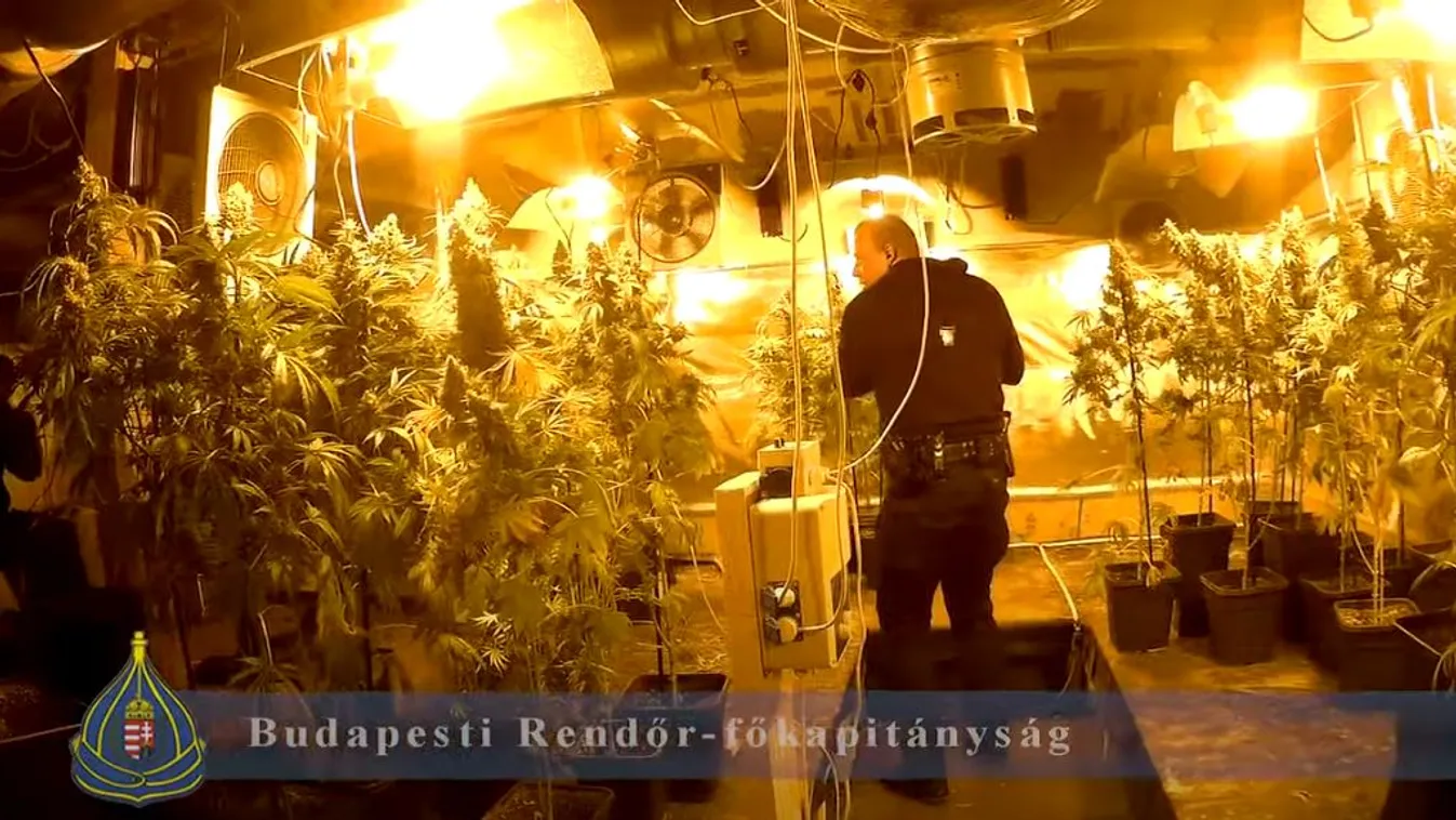 Fegyverrel rontottak be a rendőrök a budafoki házba, 150 milliós drogbizniszt hiúsítottak meg – videó