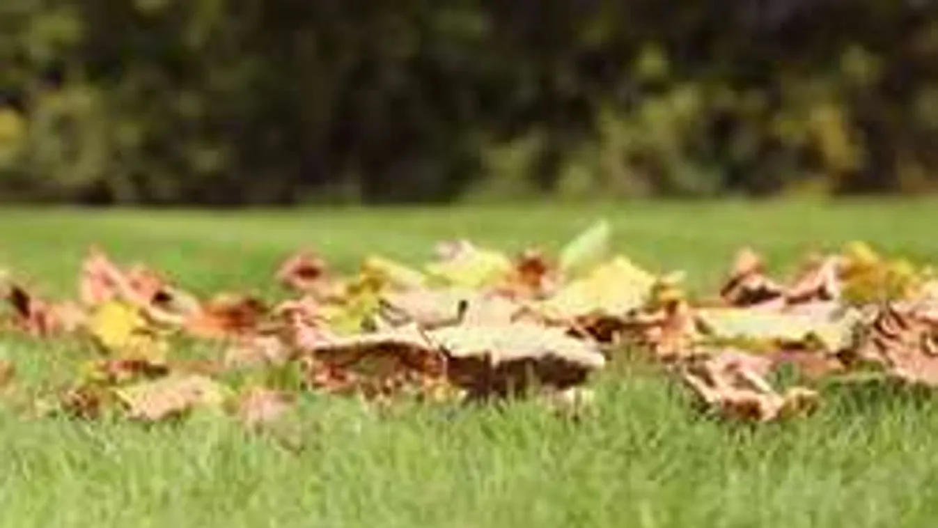 Felkészültél? Ez lesz a hét legmelegebb napja!