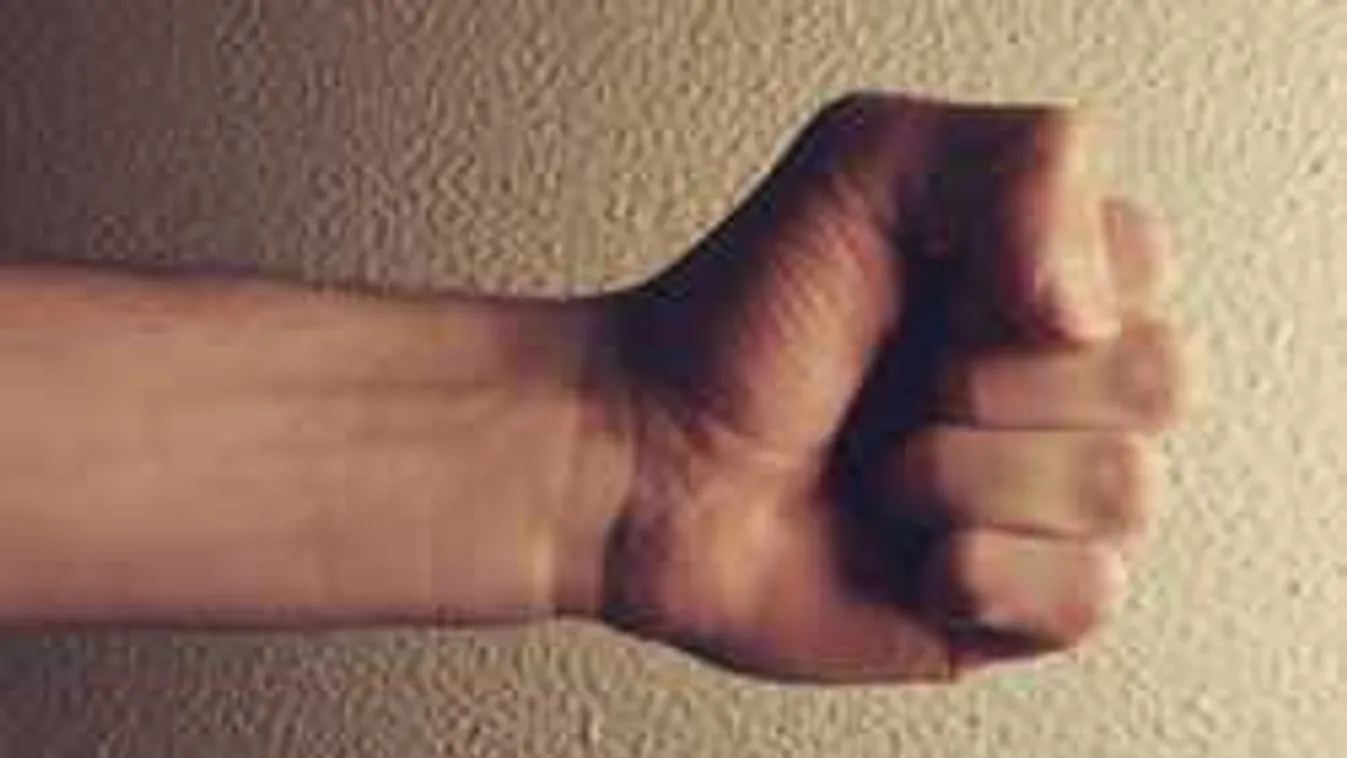 Brutális kegyetlenséggel végzett két emberrel a 15 éves tatabányai fiú