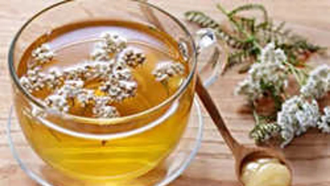 Túl sokat ettél? Ez az 5 gyógytea segít