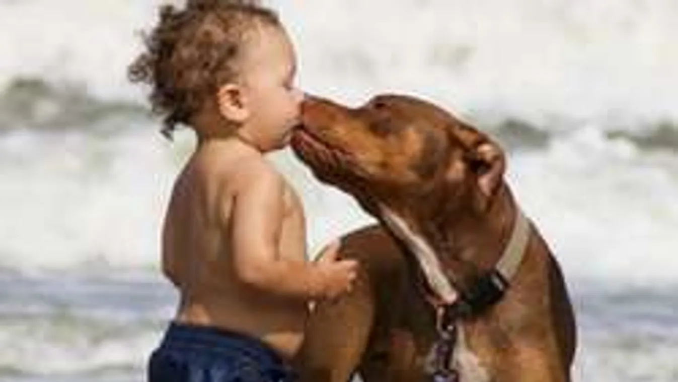 Kedvenceddel nyaralnál? Megmutatjuk, mennyibe kerül!