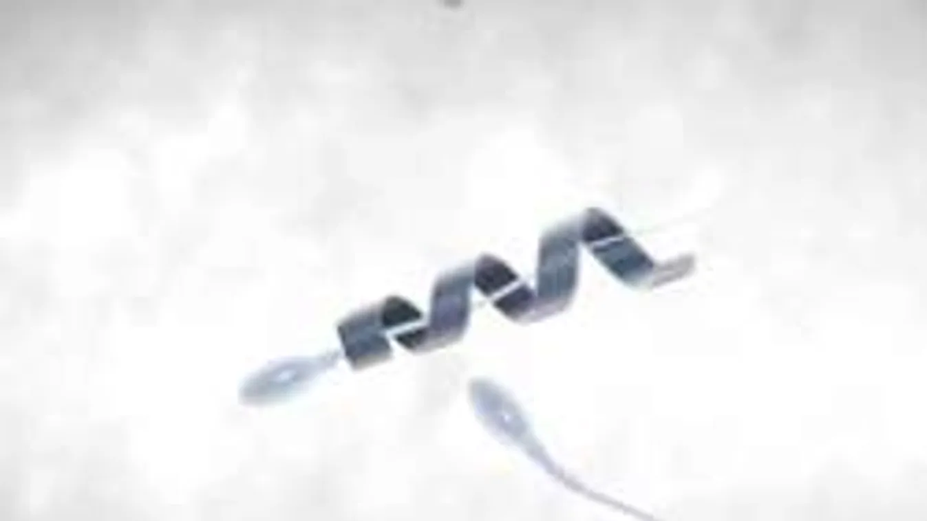 A spermagyorsító robottól azonnal terhes lesz a feleséged!