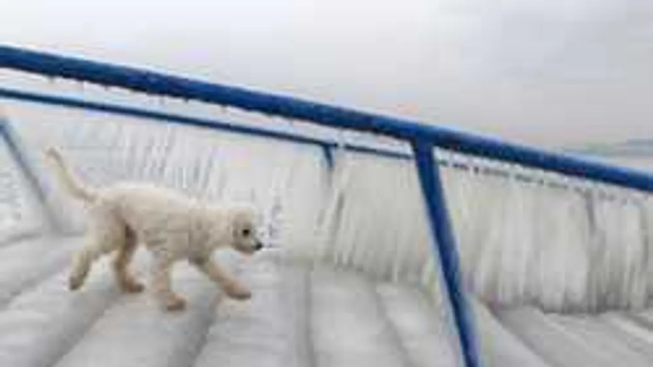 Vészjelzést kapott az ország, hófúvással jön az év lehűlése