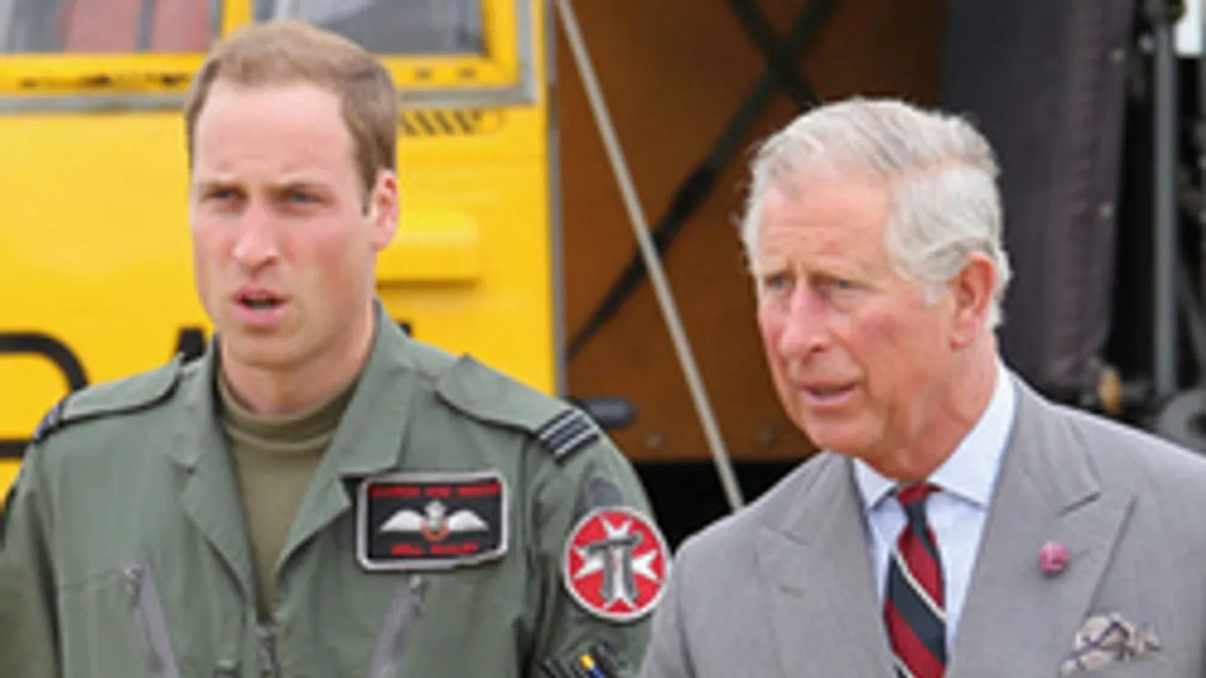 Meg akarták ölni Vilmos és Károly herceget, Harry érdekében!