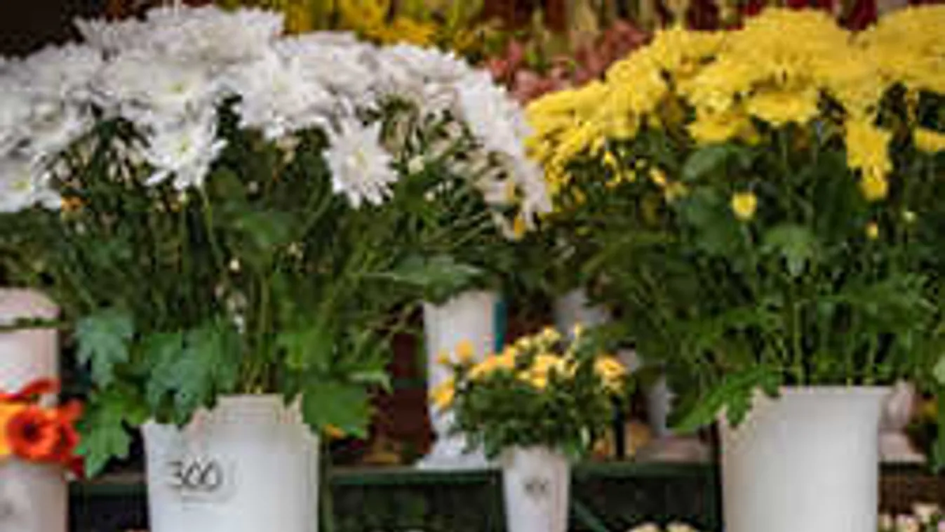 Ezért nem mernek árat emelni a temetői virágárusok