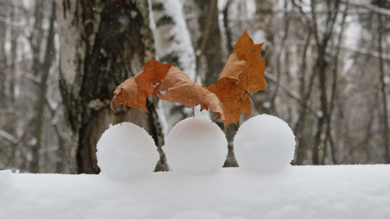 Gyerekekre lőtt egy autós, mert hógolyóval megdobták