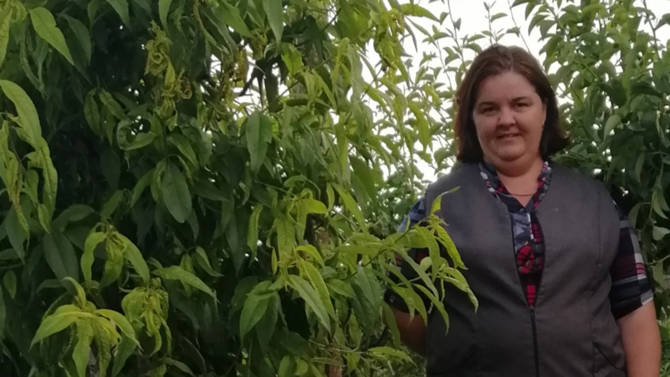 Így győzte le a spanyol csupaszcsigát a bátaszéki háziasszony