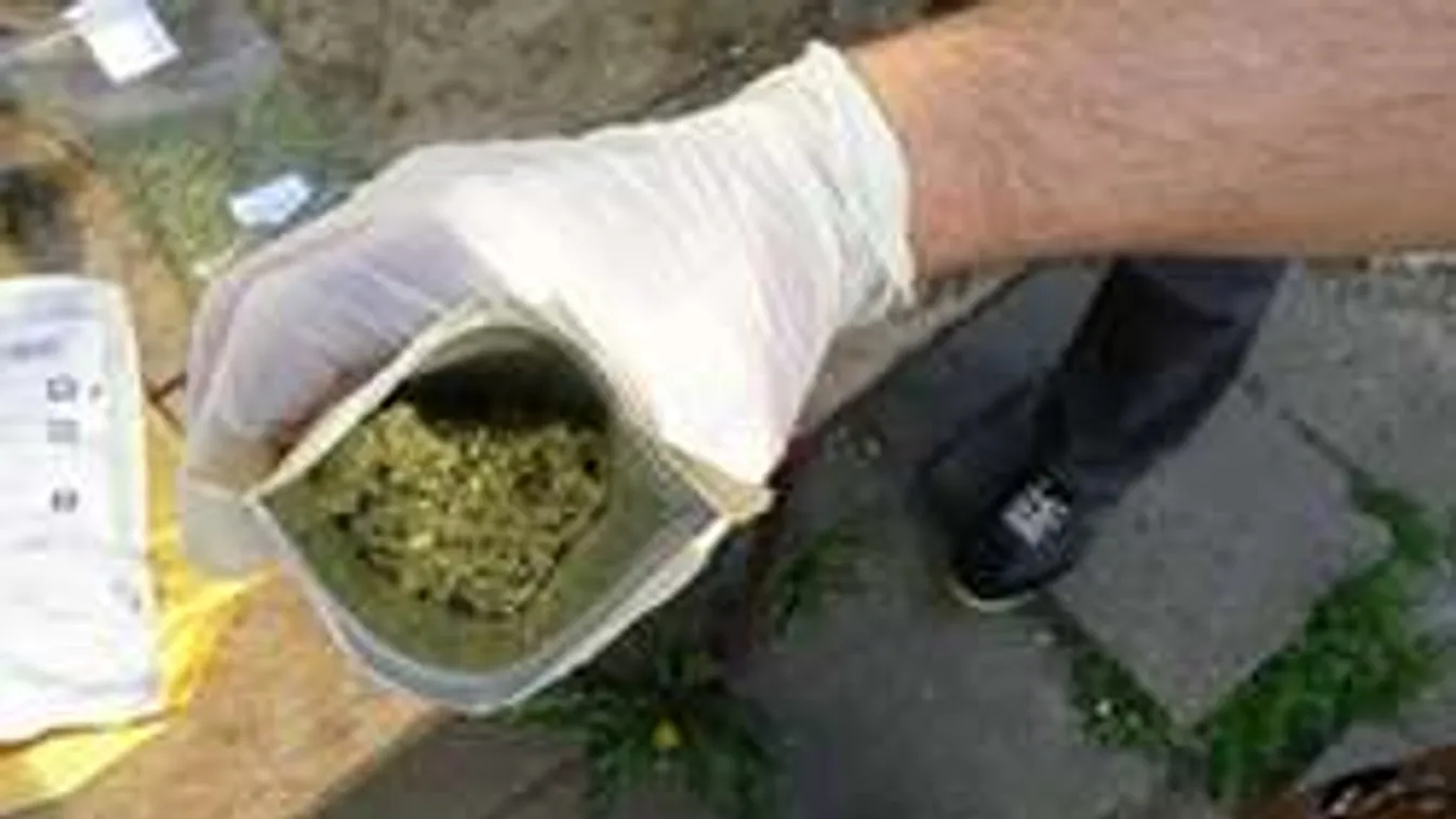 Ezzel a droggal kínozhatta halálra kiskutyáját a várpalotai tini!