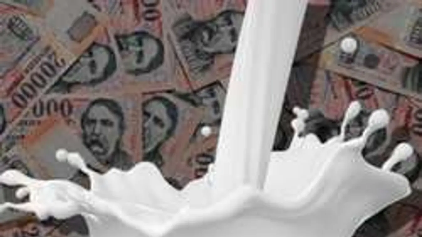 Olcsóbb lesz a tej! Mikor csökkentik az áfáját?