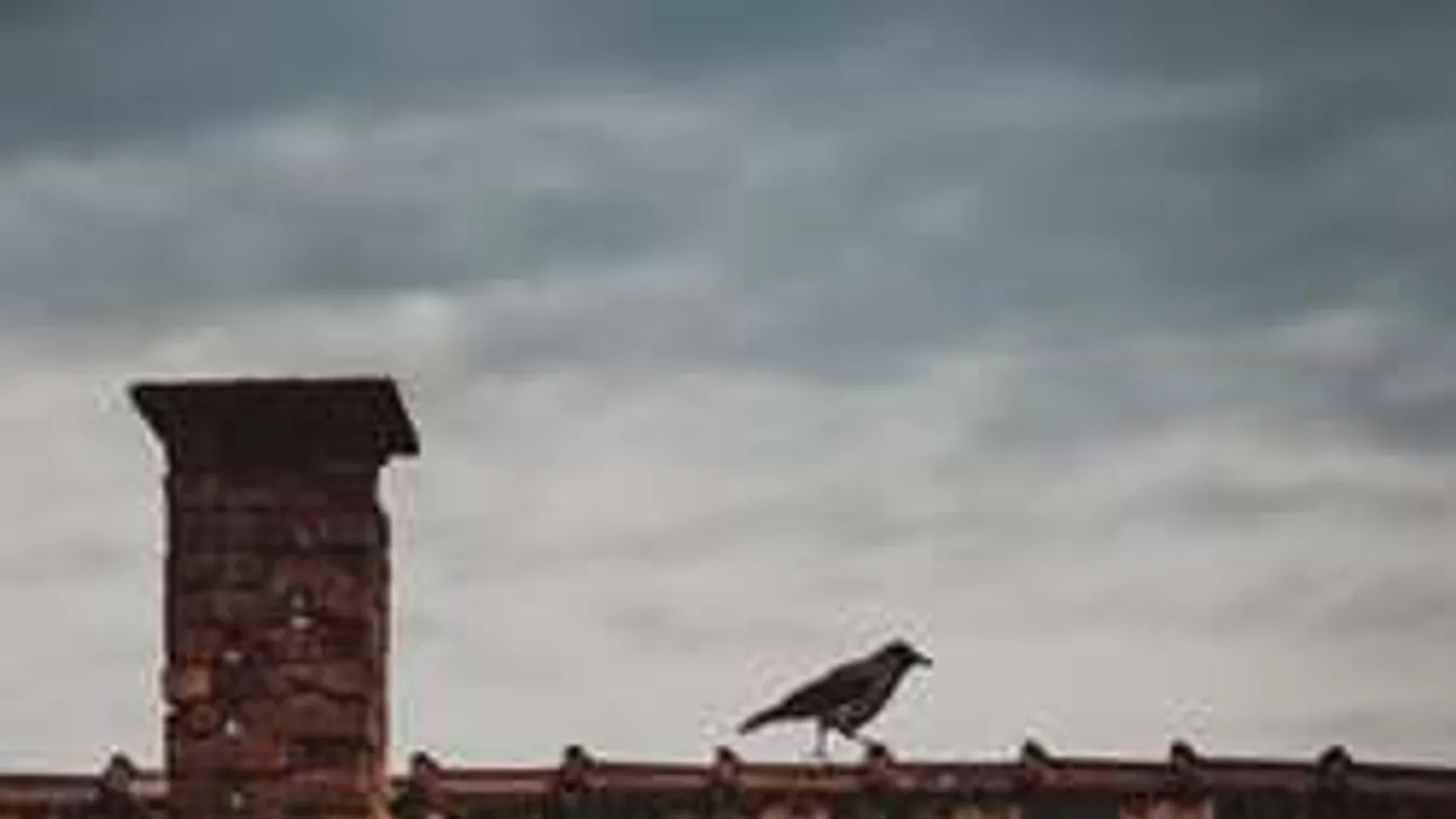 Már a kéményseprőben sem bízhatsz? Így ismerheted fel az igazit