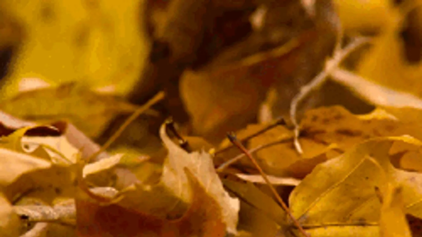 Ismét meleg levegő érkezik, mutatjuk meddig tart a jó idő