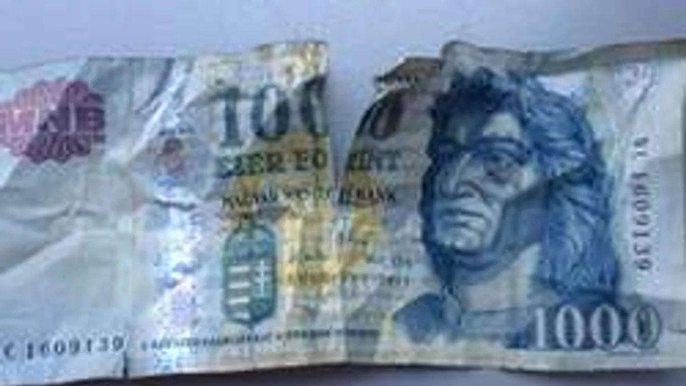 Elázott a strandon? Széttépte a kutya? Így mentsd meg a pénzed!