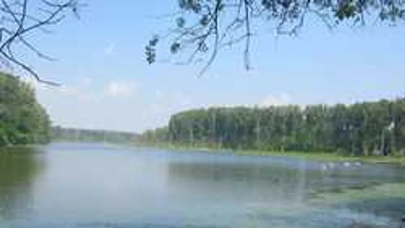 Szolnoknál is felbukkant egy medve? Hatalmas, fürdőző állatot videóztak