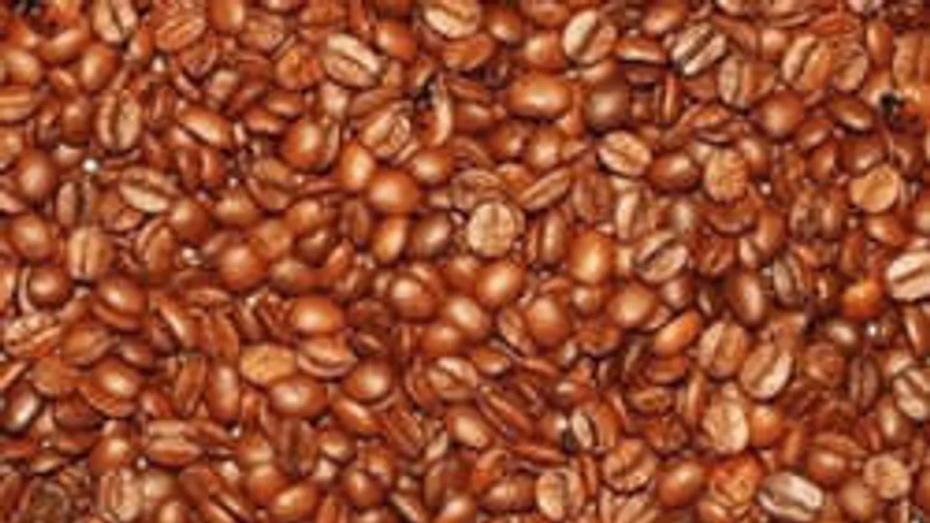 Az emberek 91%-a elbukik ezen a feladványon! Te meg tudod oldani?