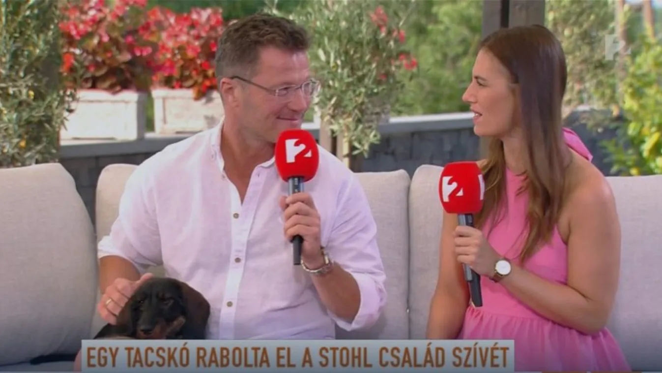 Chili már három hónapja van Stohléknál