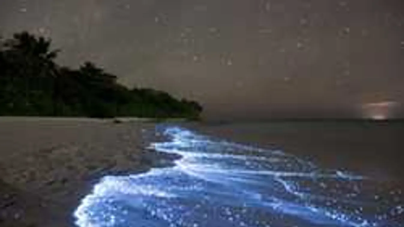 Kivételes természeti csoda a tengerparton, nem hiszel a szemednek!