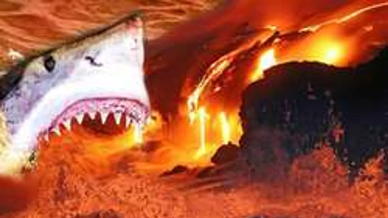 Vulkánban élő cápákat fedeztek föl!