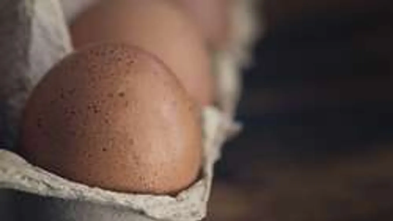 Ezeket az ételeket sose fagyasszuk le!