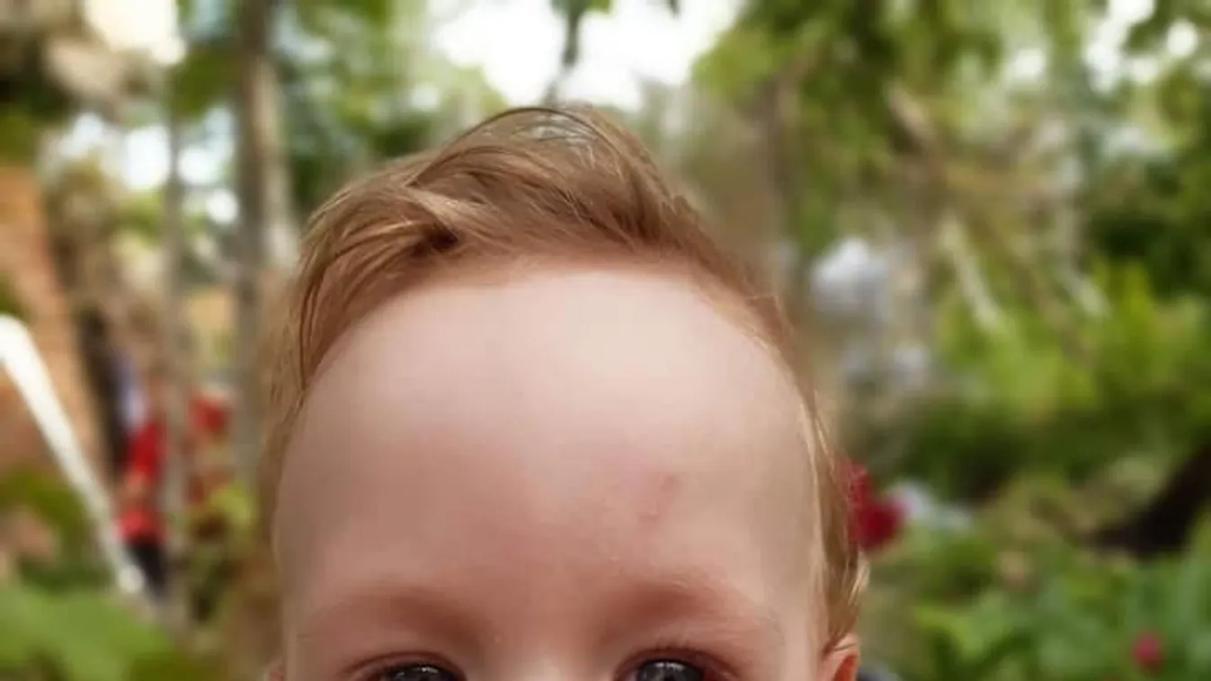 Ma utazik Budapestre Noel a génterápiás kezelésre