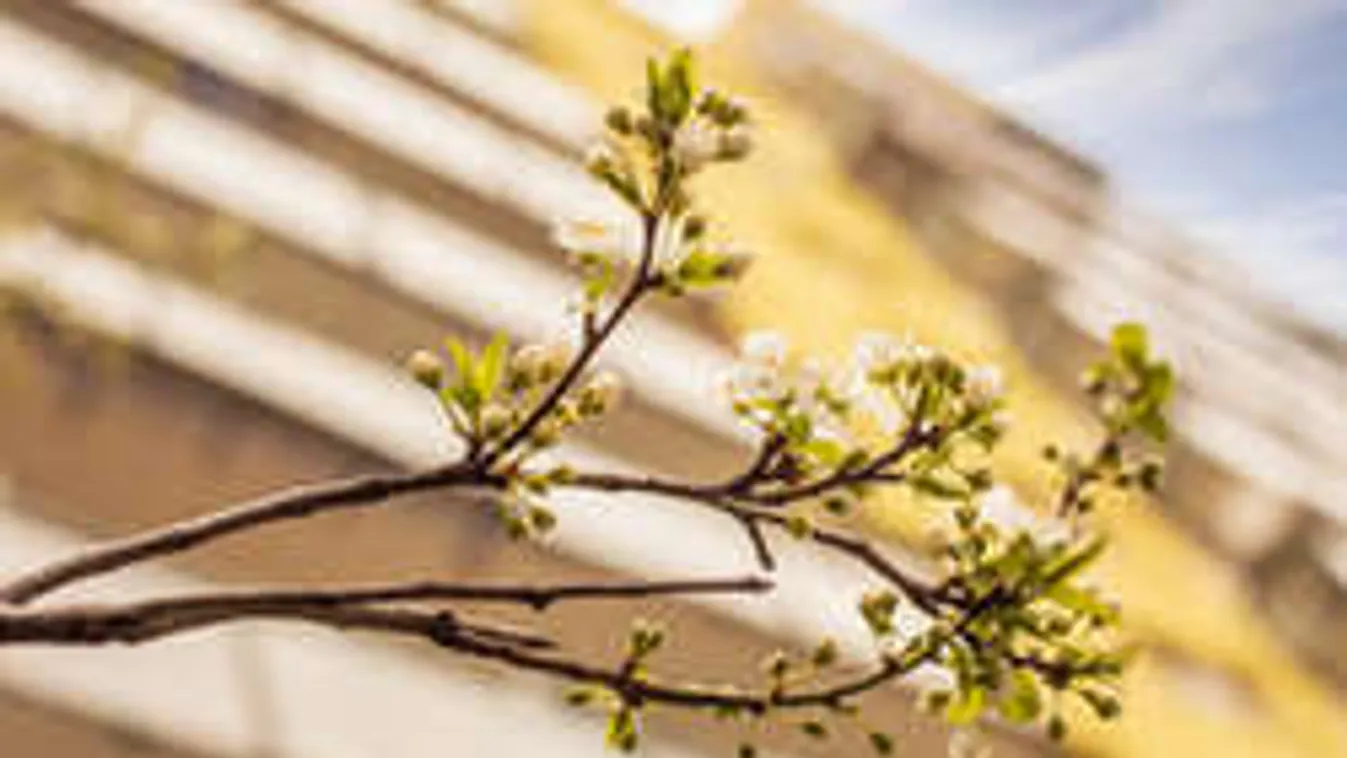 Hátborzongató húsvéti fotó készült egy budapesti lakótelepen