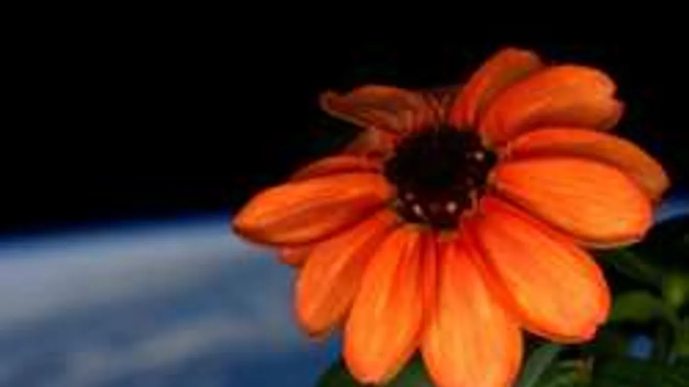 Világszenzáció! Ezt szagolják az űrhajósok a Föld körül