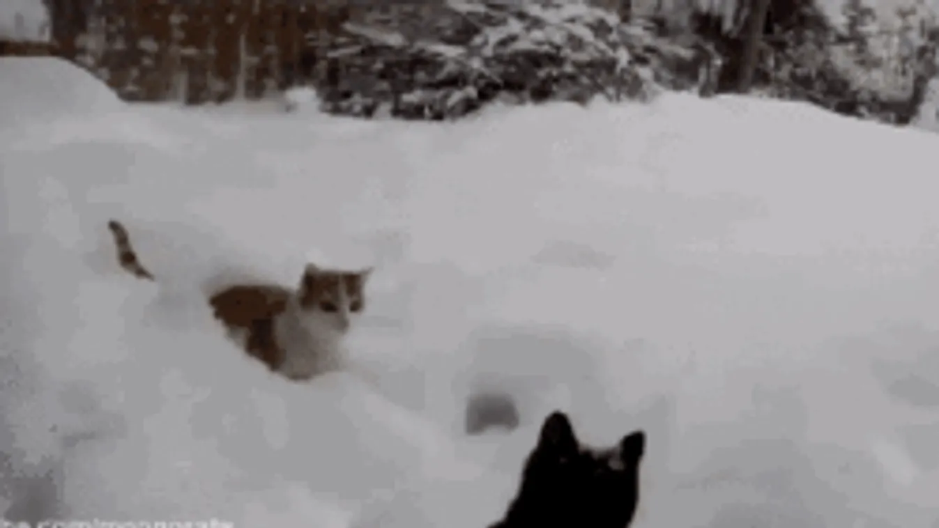 Hófúvással indul a reggel, eztán jön a meglepetés