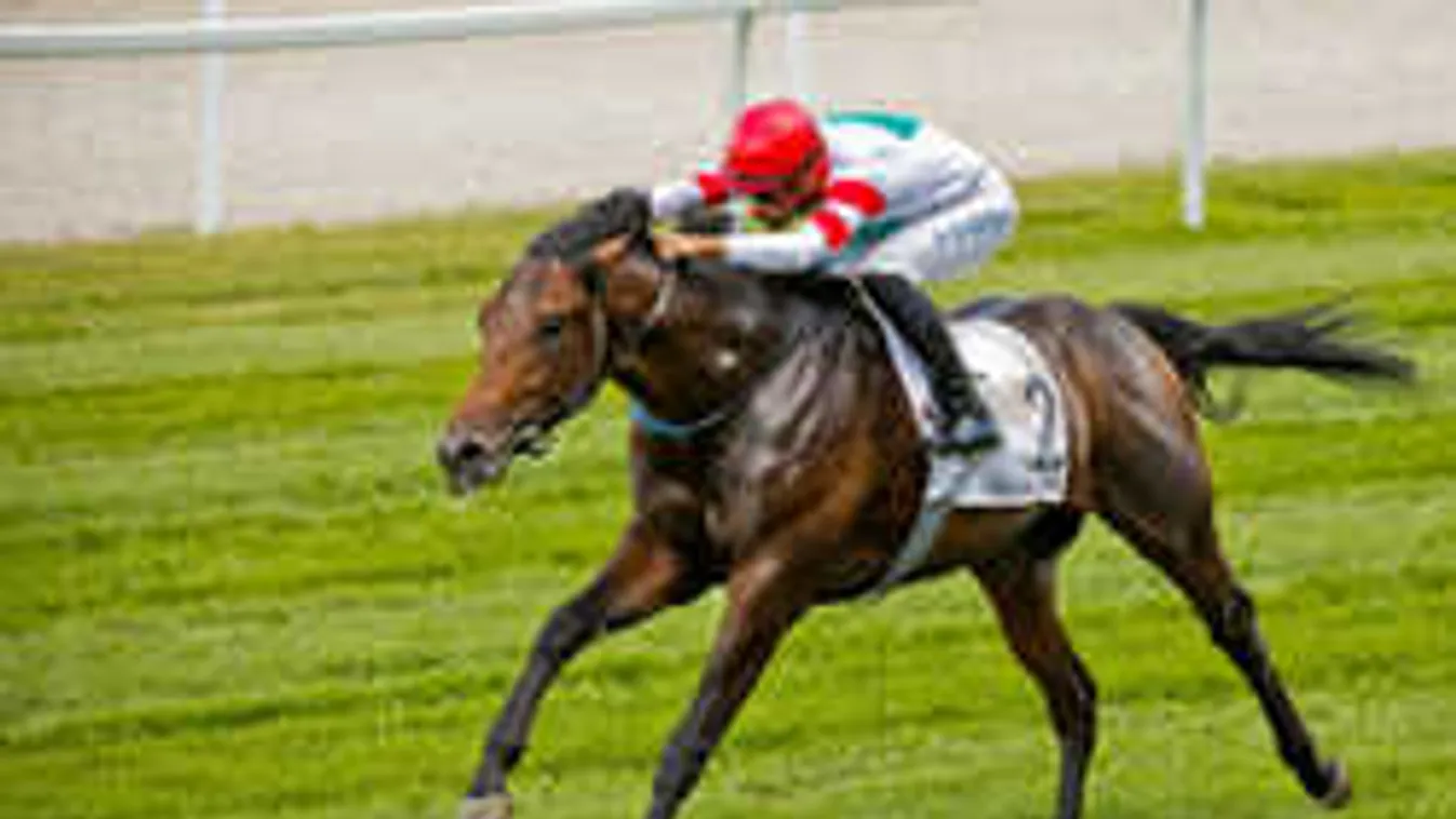 Párizsban is nyert a magyar csodaló, ő az új Overdose