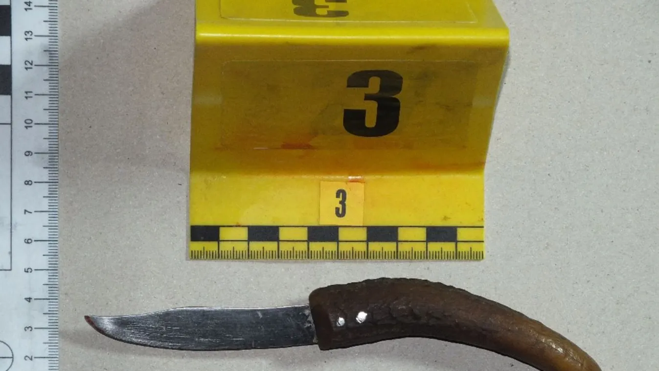 Dráma Vecsésen: mellkason szúrta munkatársát a férfi – sokkoló részletek