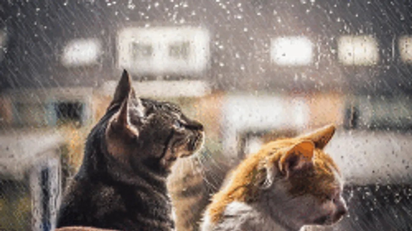 Újabb riasztást kapott az ország, hidegfronttal csap le az eső