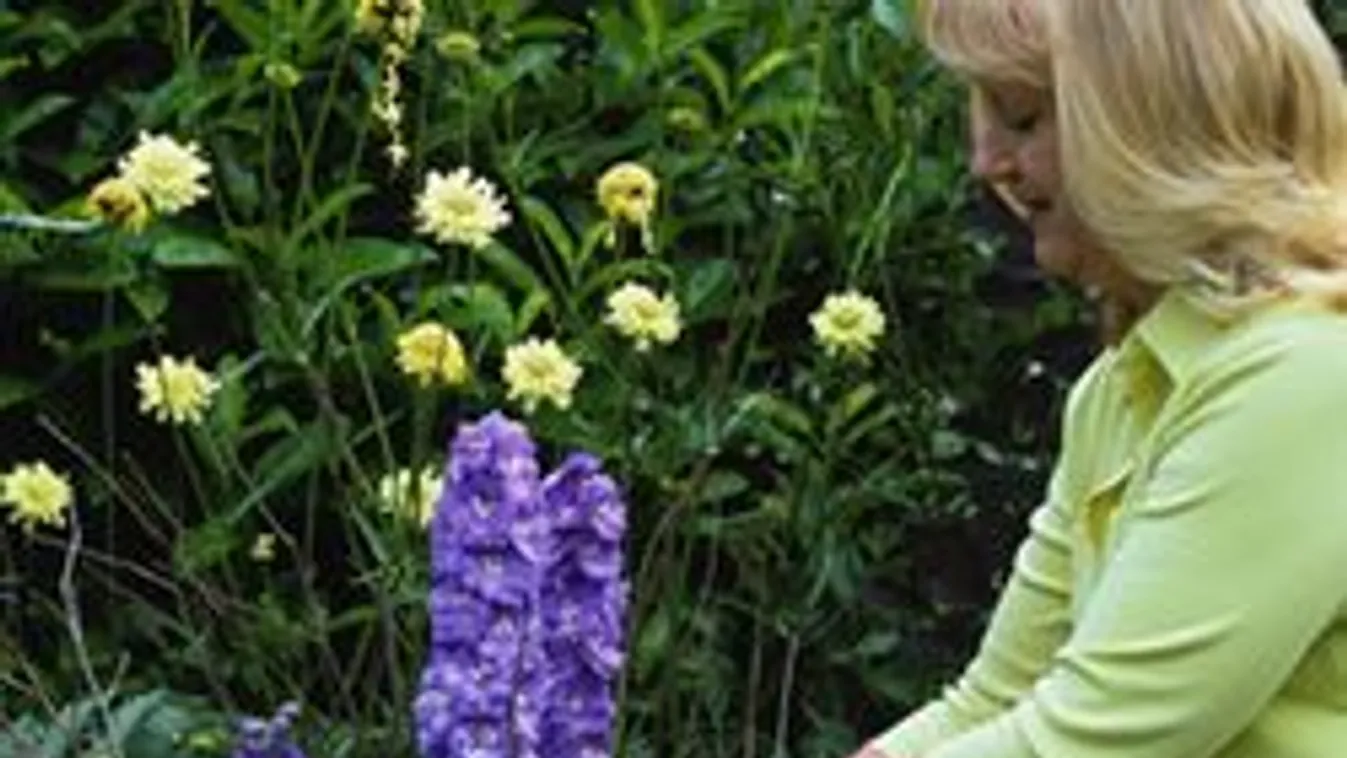 24 hallássérültet csapott be egy nő