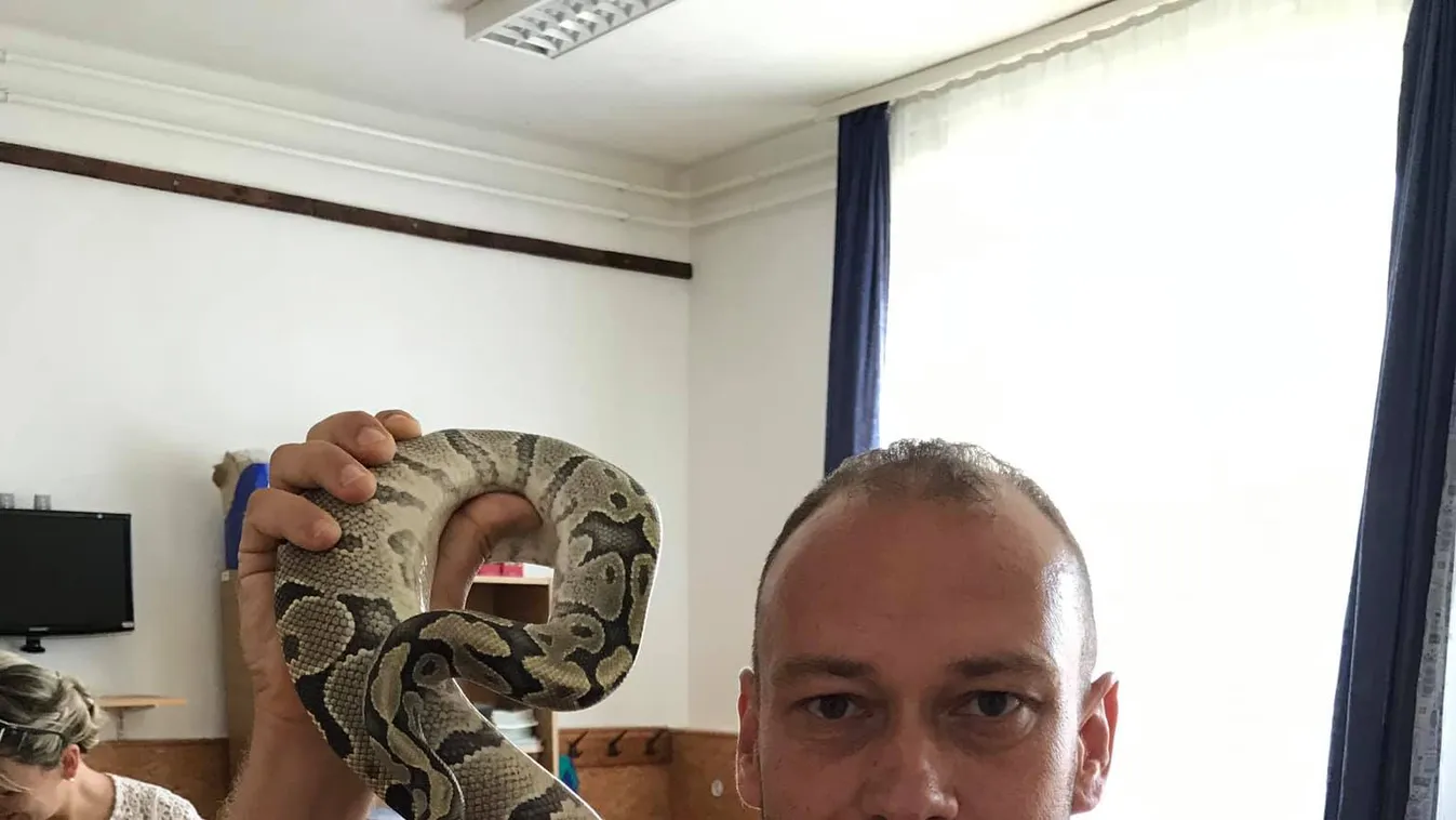 Both Zoltán: Az utolsó pillanatban kaptam el a kígyót...