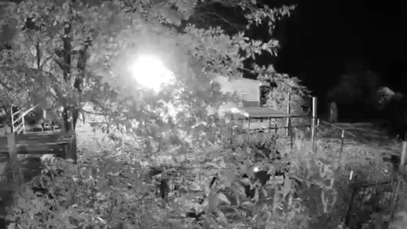 Sokkot kapott a nő, amikor meglátta, mit rögzített a kamera a háza előtt