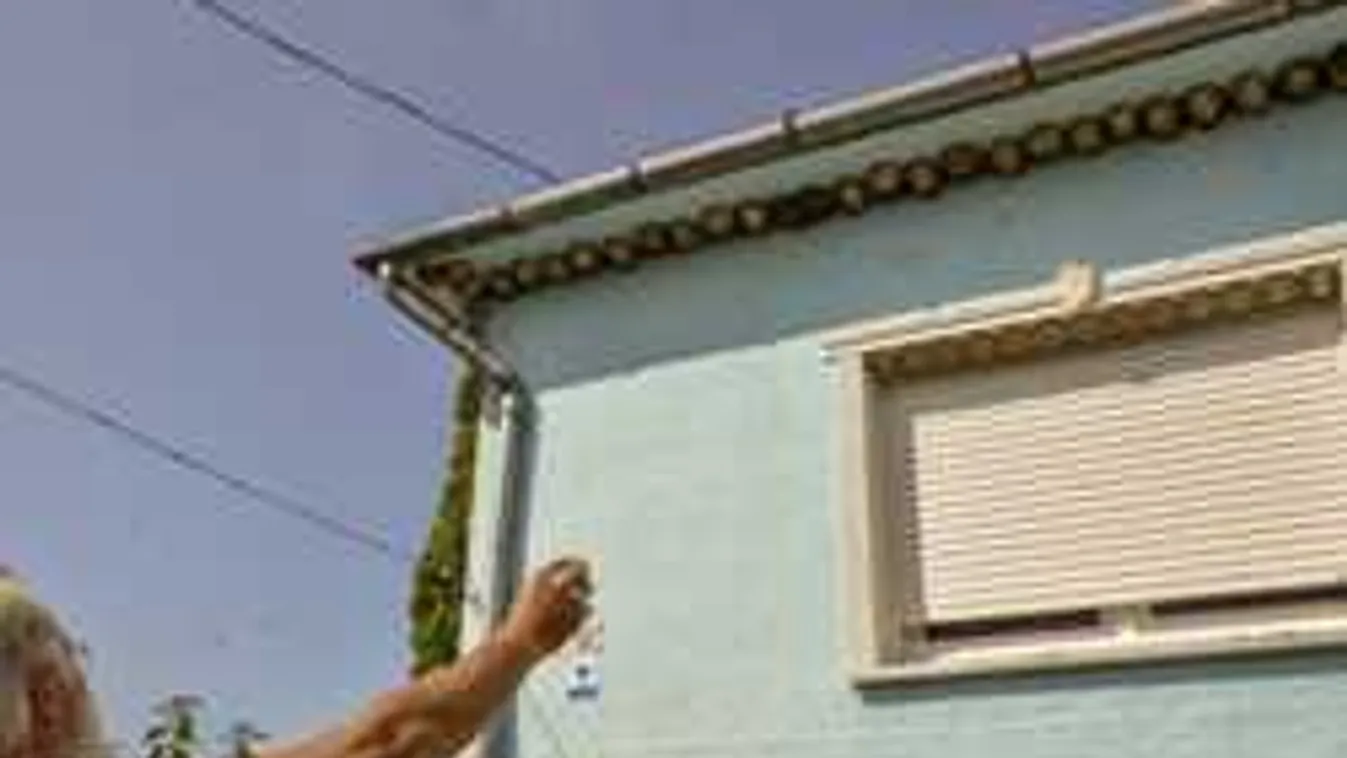 Csodájára járnak a tamási házaspár példamutató portájának