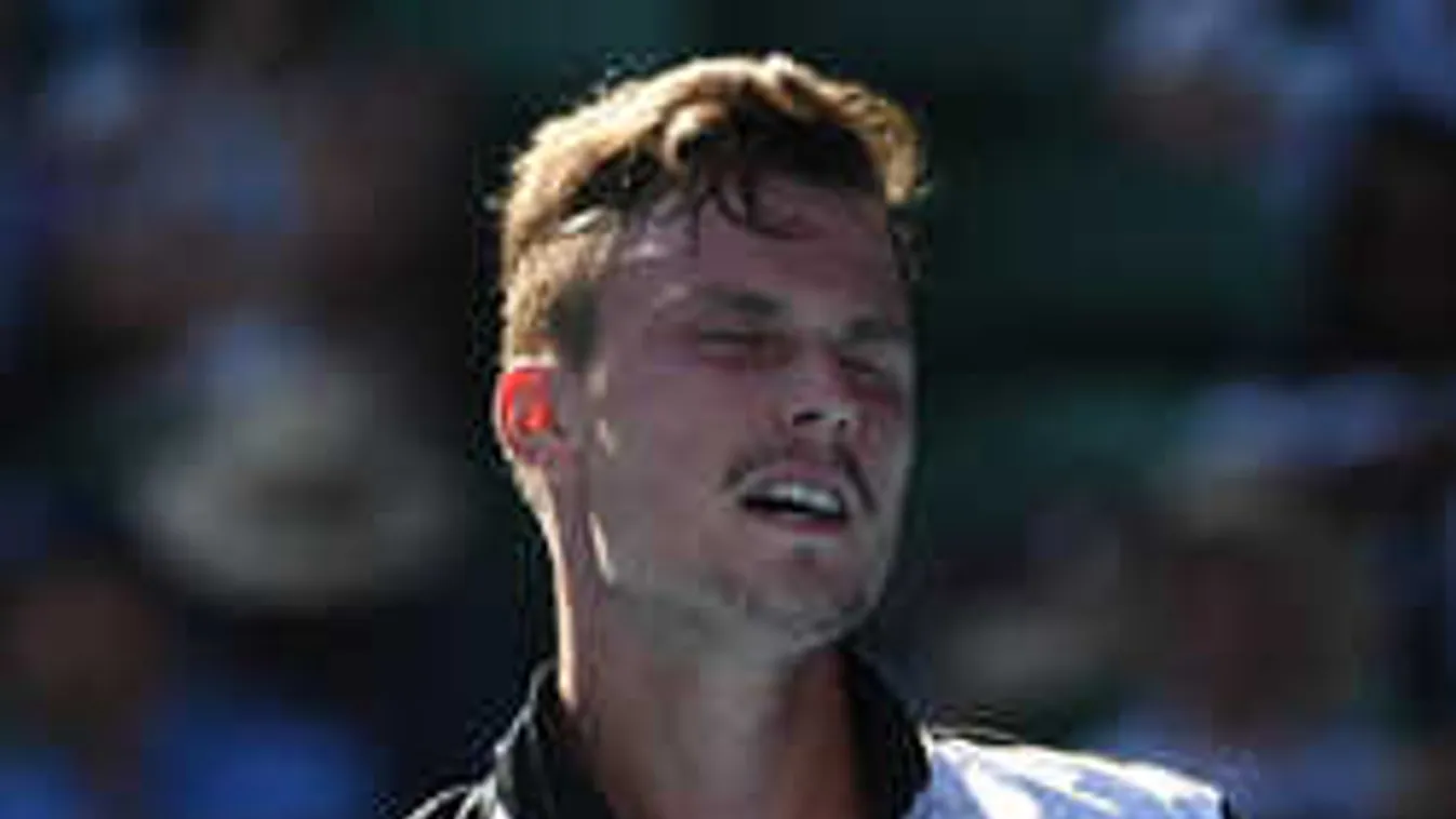 Szomorú hírt kaptunk: súlyos csapás érte Fucsovics Mártont