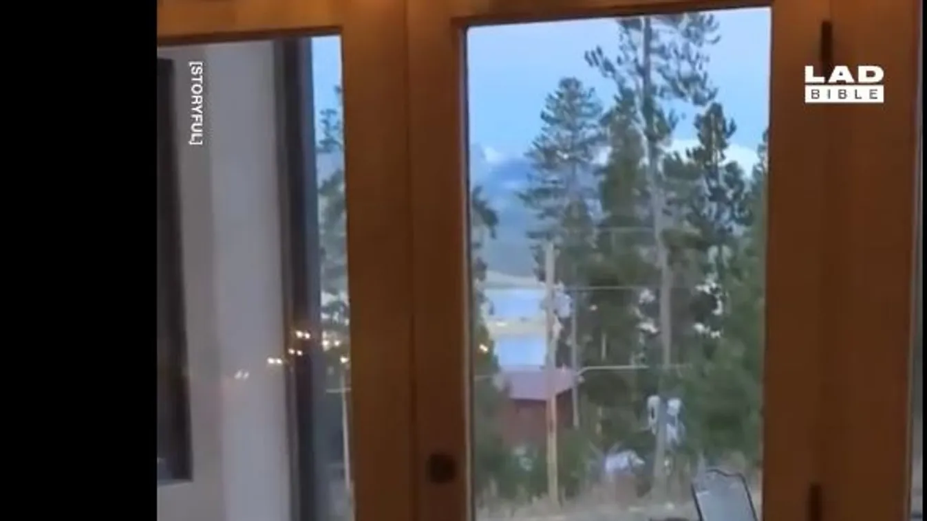 Ez nagyon para: Rettegve szólongatta kutyáját a halálra rémült nő – videó