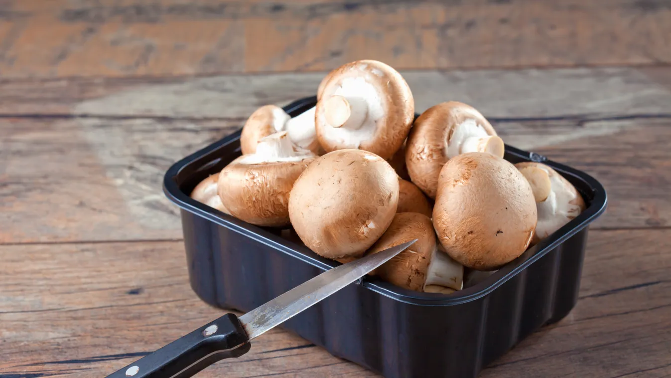 Melyik a legjobb bolti gomba?