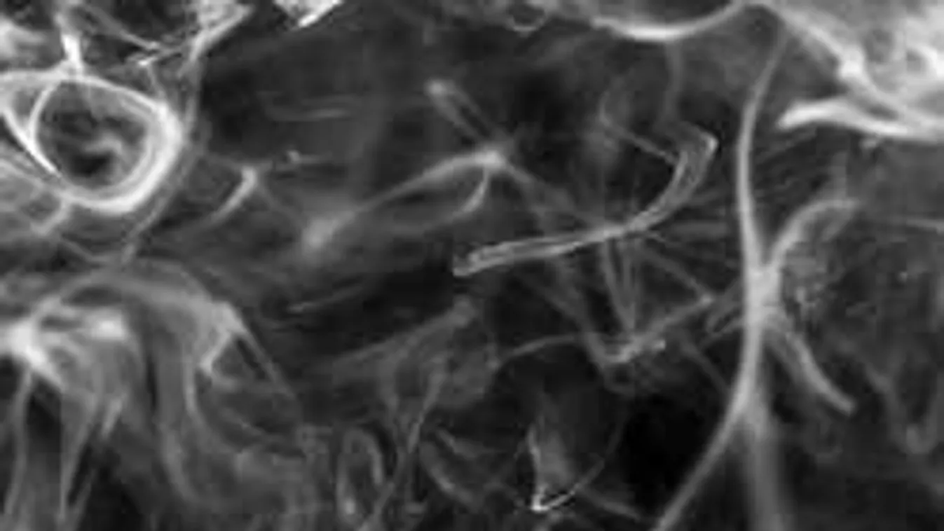 Hihetetlen, hogy mit tettek ezek a járőrök Borsodban