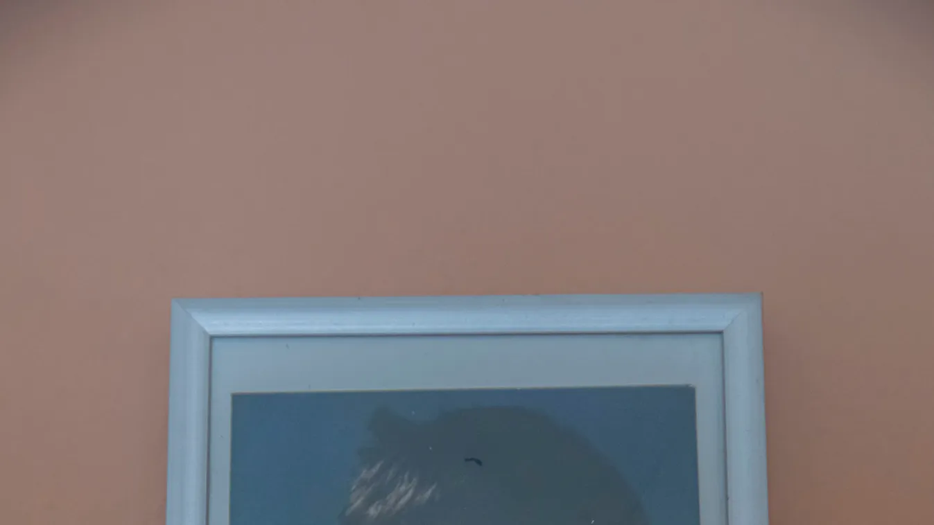 Szülei még mindig hazavárják a 21 éve eltűnt Tamást